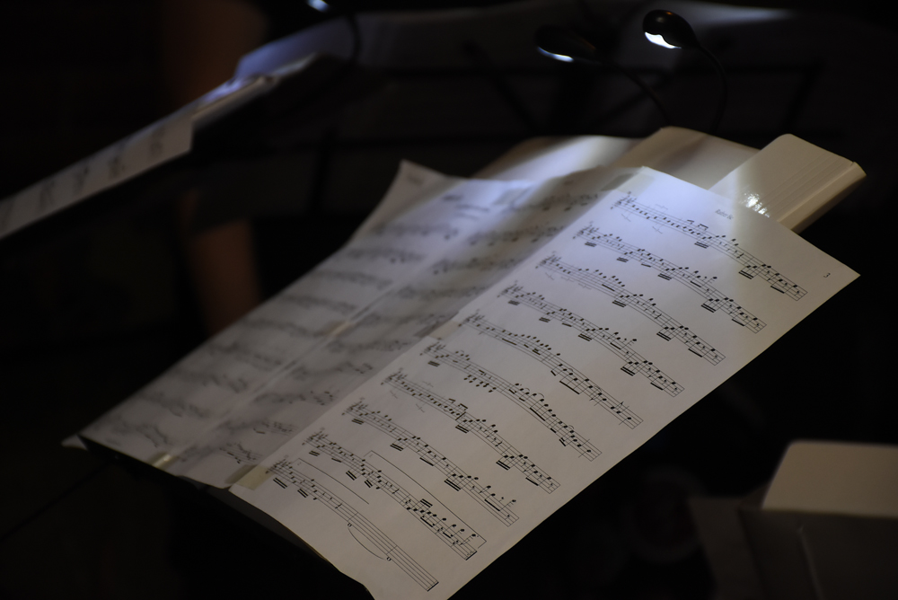 srpski festival svetske muzike