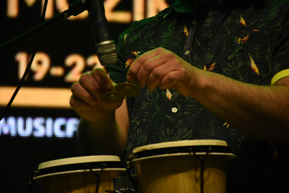 srpski festival svetske muzike
